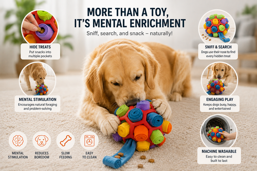 Turn Bored Dogs Into Busy Dogs